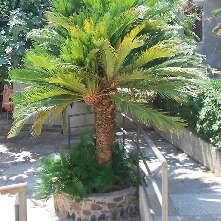 San Giuseppe - Cityhotel