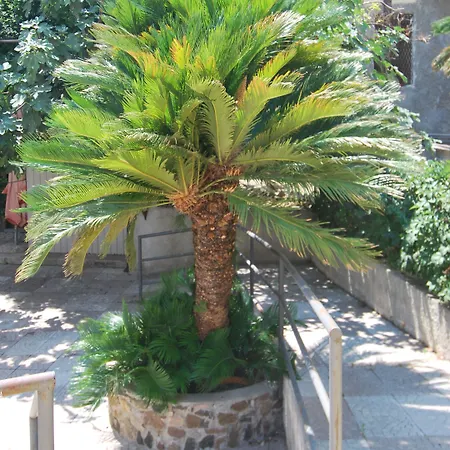 San Giuseppe - Cityhotel 3* Catanzaro